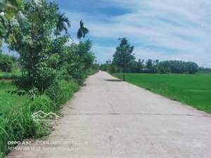 cần bán lô đất vườn full đất ở, cách trục chính 30m, sổ hồng mới công chứng nhanh