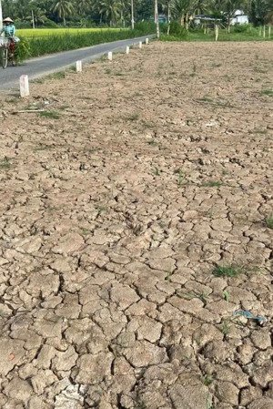 bán đất 2498m2 thổ ấp trung hòa, xã trung hòa, huyện chợ gạo, tỉnh tiền giang