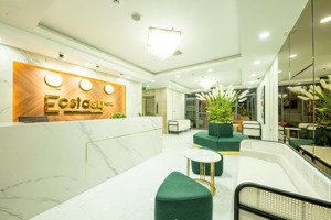 khách sạn 15 tầng 39 phòng khách sạn hẻm trần phú giá 37 tỷ