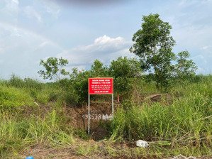 qsdđ thuộc thửa đất số 1170, tbđ số 18 tại khu phố tân an, tt. tân phú, h. đồng phú, bình phước