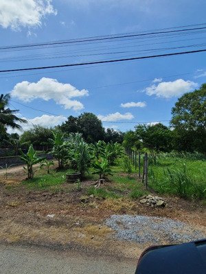 bán gấp đất đường dương thị yêm, thái mỹ dt 21x24m tổng 500m2 có thổ, giá 870 triệu