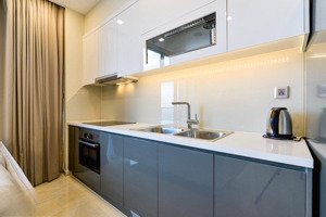 cho thuê ch 2pn, 2wc, 69m2 giá tốt tại vinhomes golden river, q1, hcm