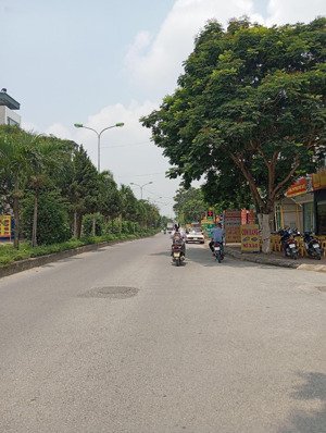 bán nhà kđt vân canh - trịnh văn bô - hoài đức, đường đôi 33m, kinh doanh, dt 100m2, giá 25.5 tỷ