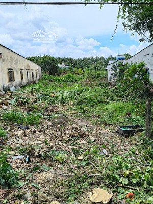 cc bán gấp mt đường thanh niên, bình chánh; thế đất đẹp,tc 276m2 ngang 13.6m; shr sẵn; đường xe tải