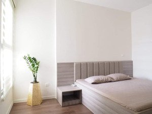 cho thuê cc đẹp xuất sắc tại imperia sky garden, 15 triệu, 76m2, 2pn, 2wc