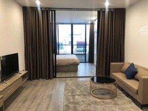 cho thuê cc mini 1pn, 1wc, 50m2, 8,5 triệu tại yên thế, p 2, tân bình, hcm