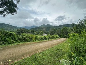 bán đất tại xã hợp tiến, kim bôi, hòa bình, 1,2 tỷ, 1000m2