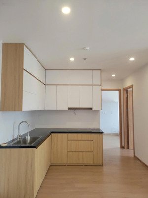 cho thuê căn hộ chung cư 2pn, 67m2, đủ đồ, giá 9.5tr tại athena complex pháp vân 161 ngọc hồi