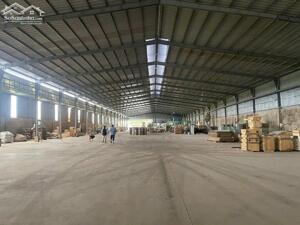 Cho Thuê 4.000m2 Kho Xưởng Tại Bàu Bàng Bình Dương PCCC Tự Động