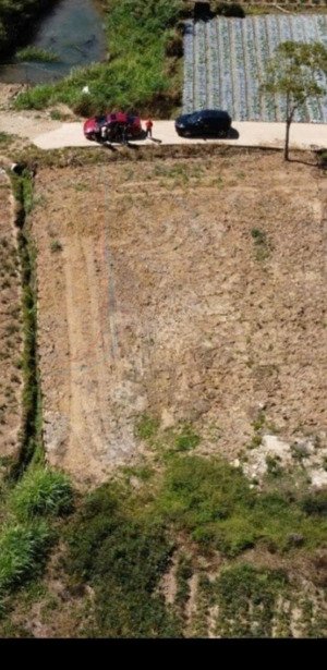 730m đất mimosa, phường xuân hương, đà lạt có sổ riêng nông nghiệp