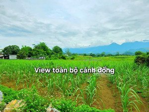 lô đất với tỷ lệ vàng trong làng đầu tư- chỉ từ 199tr