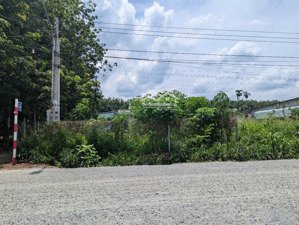 bán đất tân hưng bàu bàng (nay là phường bến cát, hồ chí minh)