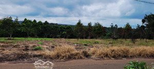 bán đất sẵn thổ cư ngay đường số 1 tân lạc giá đầu tư