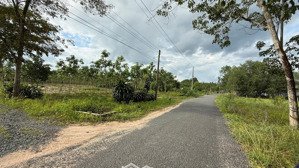 đất sào ngay kdc dt 15x100m hơn 1500m2 đã phủ hồng