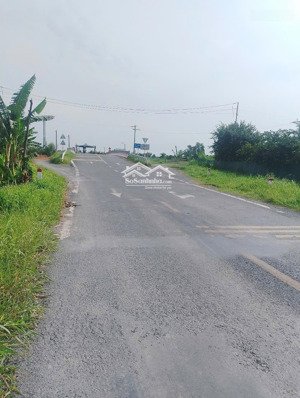 bán đất tại thiện trung, cái bè, tiền giang, giá 28 tỷ, 2,5ha cách trường tiểu học mỹ trung 300m