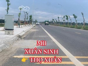 bán đất nền 125m2 tại thọ xuân, thanh hóa, chỉ với giá ưu đãi 960 triệu vnd
