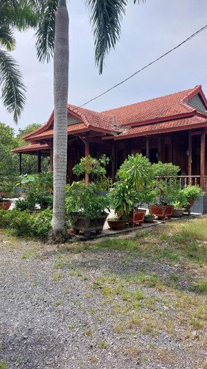 cho thuê 15000m2 đất mặt tiền ổn định lâu dài tại trảng bàng