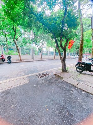 chính chủ bán nhà trần quang diệu | phân lô bàn cờ | ngõ ô tô | 60m2 | 7 tầng | mt 5.05m