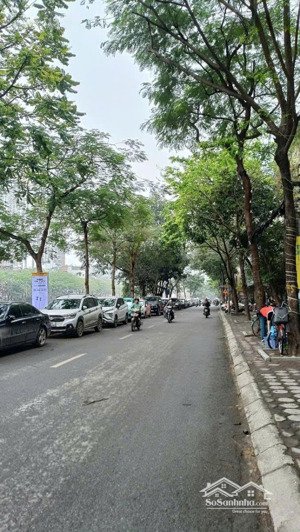 bán gấp nhà mặt phố vũ tông phan chính chủ, 306 triệu/m², 130m², lô góc, vỉa hè kinh doanh.