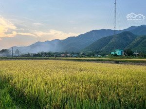 bán mảnh đất vị trí cực đẹp thôn nam yên,hòa bắc,hòa vang.dt hơn 800m2 có 500m2 đất ở.giá chỉ 5x tỷ