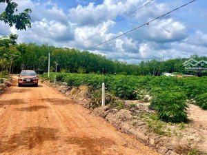 đất xào hiếm tại khu vực tp.hcm