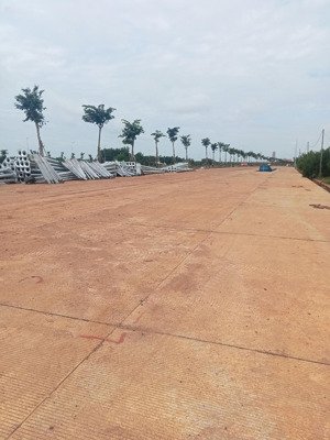 đất mặt tiền đường chính vào sân bay long thành giá đầu tư