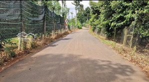 láng lớn. châu đức. 1,25hecta. phủ hồng có thổ cư 300tc,góc 2 mặt đường nhựa lh 