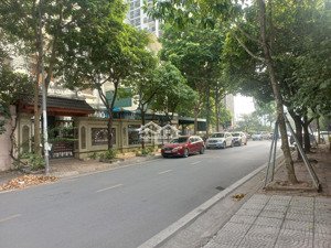 bán biệt thự phố hoàng quán chi kđt dịch vọng dt 310m2x5t, mt 15m giá 89,5 tỷ, sổ đỏ đẹp, thang máy