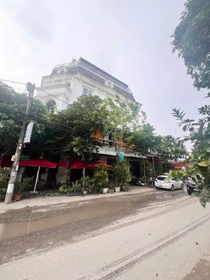 cho thuê tầng 1 căn biệt thự lô góc louis đại mỗ, diện tích 40m2, có chỗ để xe ô tô, đã hoàn thiện