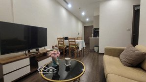 cho thuê căn hộ chung cư vinhome symphony river side, long biên. 54m2 full nội thất. 12 triệu