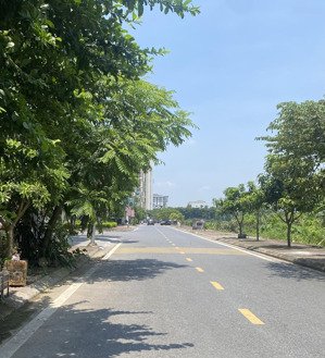bán đất mặt phố đồng thanh, giang biên, dt 90m2, mt 5,9m. kd, vỉa hè, view đồng lúa