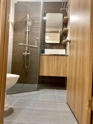 cho thuê căn hộ saigon south phú mỹ hưng (gần các trường rmit, tôn đức thắng... vv)