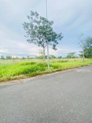 dự án daresco long an lô biệt thự 250m2 quanh hồ trung tâm