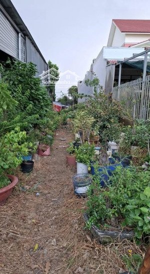 tân phú trung 144m2 thổ, mặt tiền đường giồng cát, 1 tỷ 500 triệu.