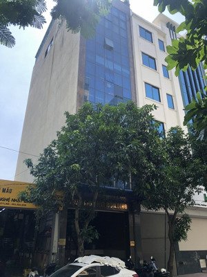 cho thuê tòa nhà phố vạn phúc, vạn phúc hà đông, vị trí đẹp. dt 100m, mt 6m 7 tầng 1 hầm, thang máy