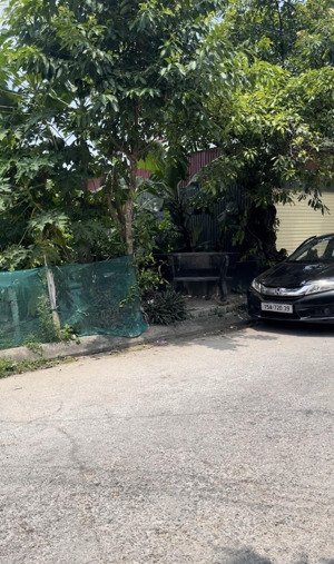 bán đất tại phố bùi phổ, 20,5 triệu/m2, 180m2, view đẹp, uy tín, dương kinh, hải phòng