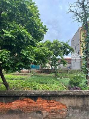 bán đất nền trục chính tân quang - văn lâm sát vin 3
