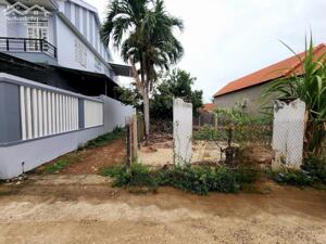  Bán đất Phú Lộc Đông 3 giá chỉ 1,4tỷ