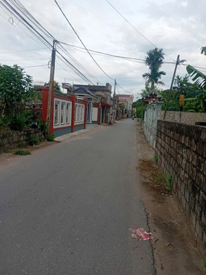 đất nền liên bảo - vụ bản - nam định. mảnh to 465m2 hoặc cắt nhỏ. phù hợp xây homestay,kinh doanh,