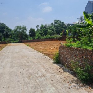 bán lô đất 450m2 cực đẹp thôn phúc xuân xã bắc sơn cũ, 50m ra đường oto tránh, kd. tiện chia lô nhỏ