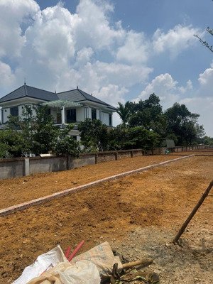 bán lô nhà vườn cổ đông, sơn tây, hà nội chỉ 19,xtriệu /m2, dt 244m2 lưng hướng núi mặt hướng sông