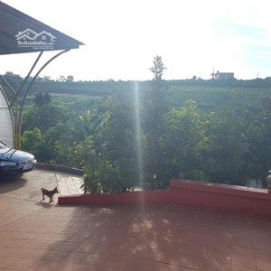 chính chủ cần cho thuê nhà nguyên căn tại hẻm 321 lý thái tổ, đầy đủ tiện nghi