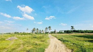 bán gấp 1000m2 phủ hồng, sổ riêng, đường rộng 6m, cách biển lagi 1km. giá rẻ 1,1 tỷ