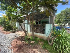 bán gấp đất nền 330m2 tặng nhà cấp 4 tại tân hưng,bến cát ( giáp kcn bàu bàng) 1,7 tỷ, sổ đỏ đầy đủ