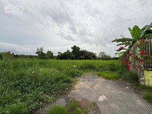 bán 1.350m2 đất có 1000m2 thổ cư. đ nguyễn văn tạo, long thới, nhà bè. giá 19,8tr/m2. lh 