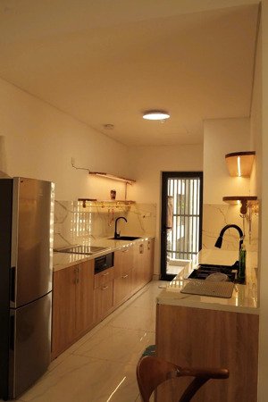 chính chủ cho thuê căn hộ diamond alnata, 20 triệu vnd, 85m2, đầy đủ nội thất tại sơn kỳ, tân phú