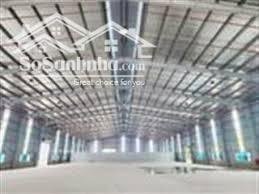 Cần cho thuê kho chứa hàng 2900m2 ở Phường Tân Bình TP Dĩ An , HCM