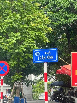 thật 100%! bán tòa nhà 8 tầng mặt phố trần bình, dt 80m, mt 5m, dòng tiền 85tr/tháng, vỉa hè 2 bên