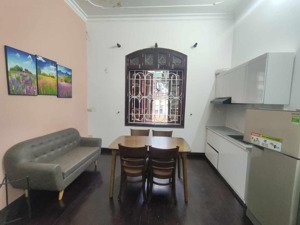 cho thuê cc mini 6,9 triệu, 39m2 view đẹp tại hào nam, đống đa, hà nội