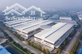 Cho thuê xưởng 20.000m2 trong KCN Đại Đăng, Thủ Dầu Một, Bình Dương